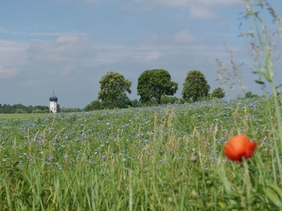 Landschaftsbild