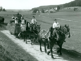 Erntedankfest in Bieselbach 1952